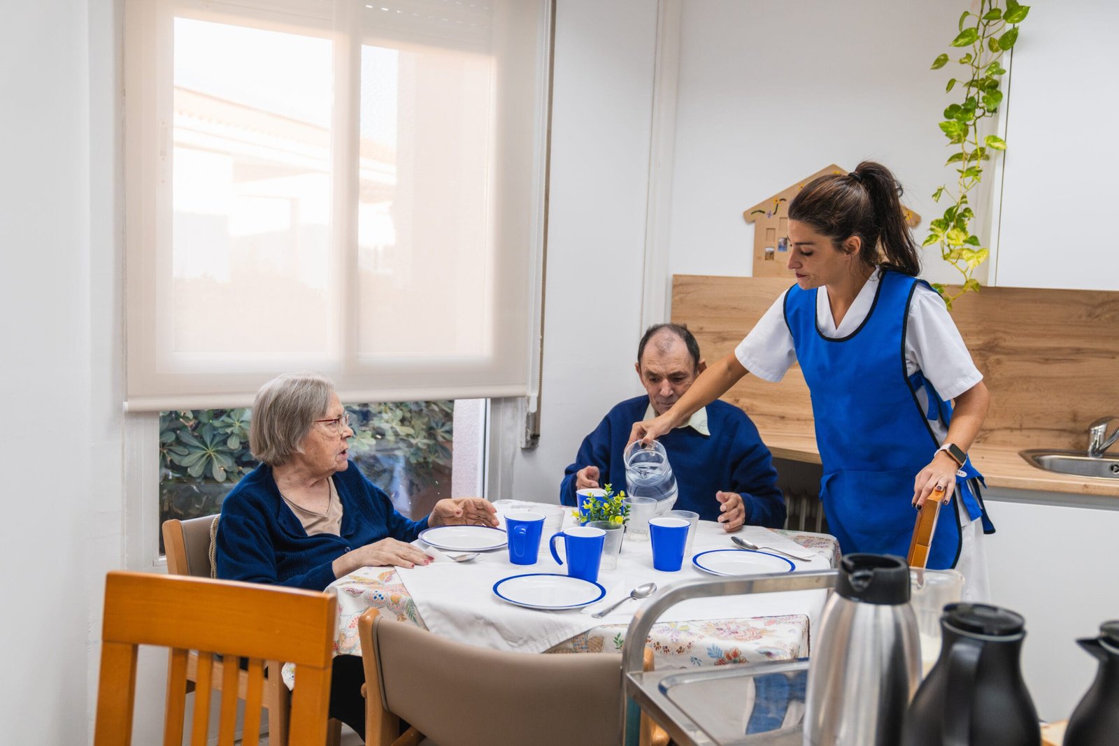 asistencia del hogar